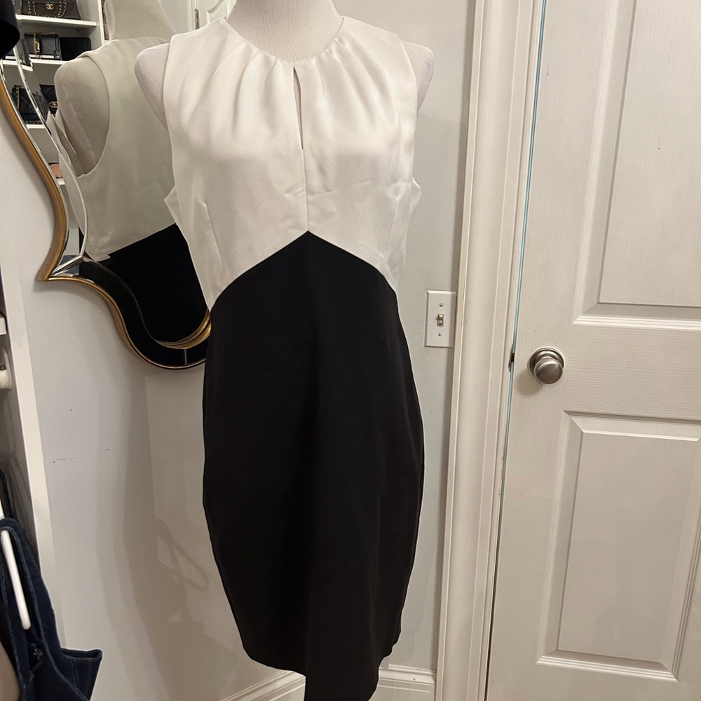 Elegant Ted Baker dress